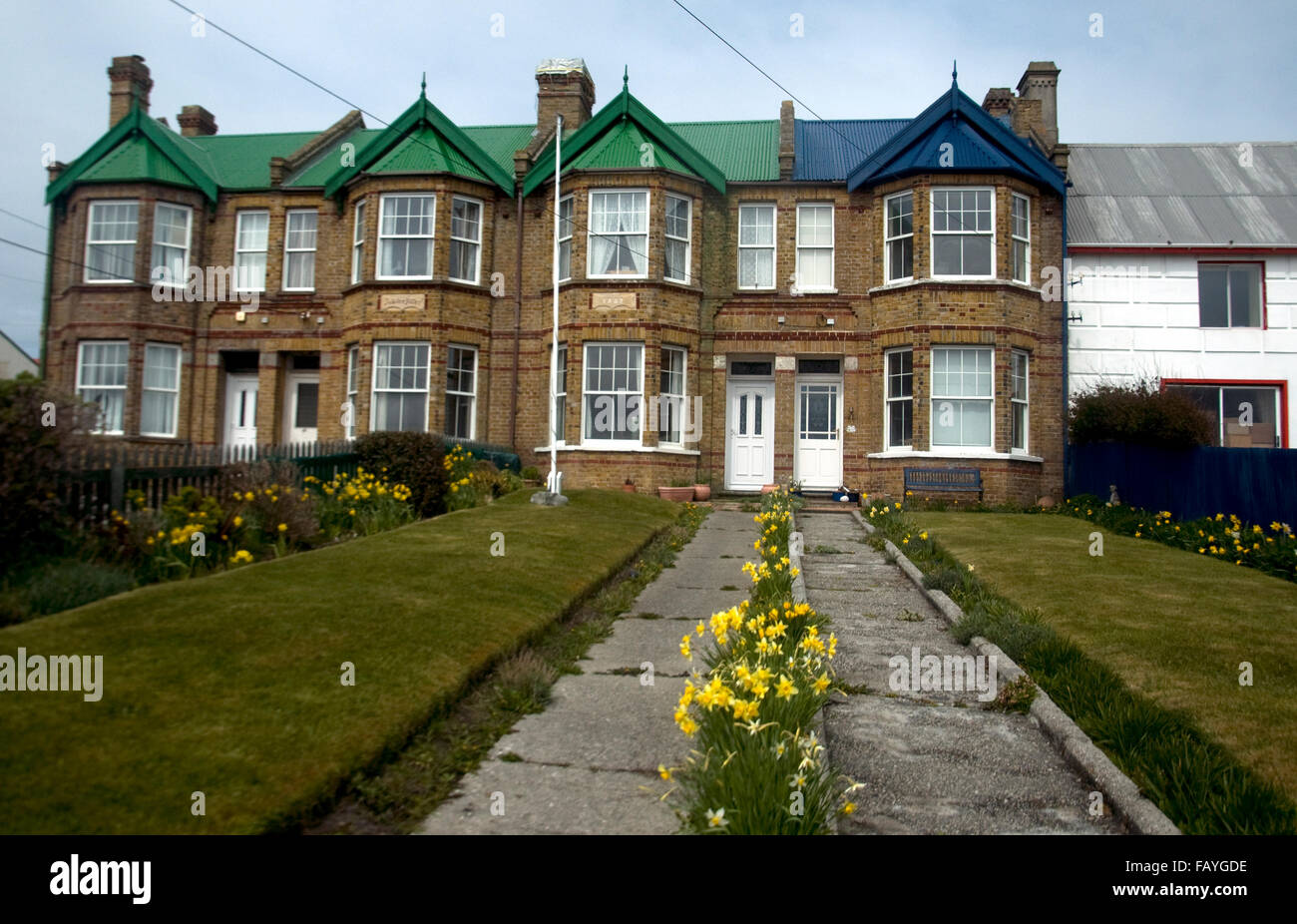 Houses in Stanley, the Falkland Islands capital, have the suburban air of many an English town; with daffodils blooming in November Stock Photo