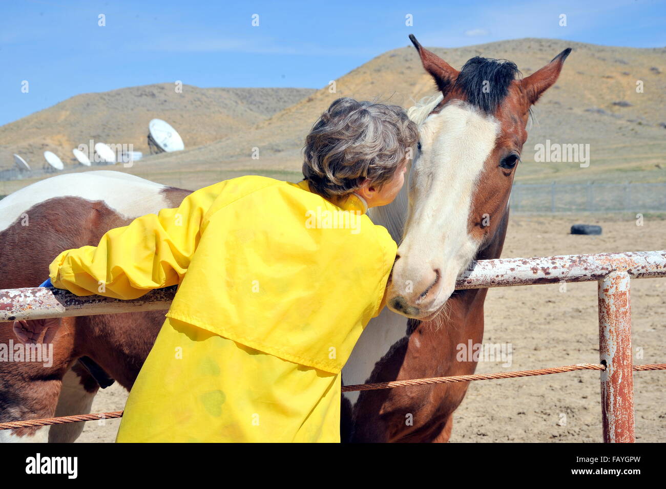 Female and horse bonding. Stock Photo