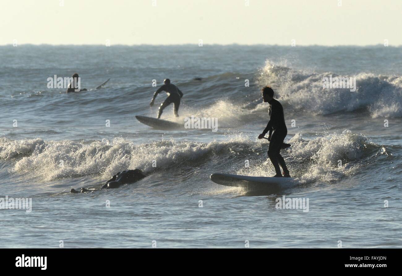 Kimmeridge surf online