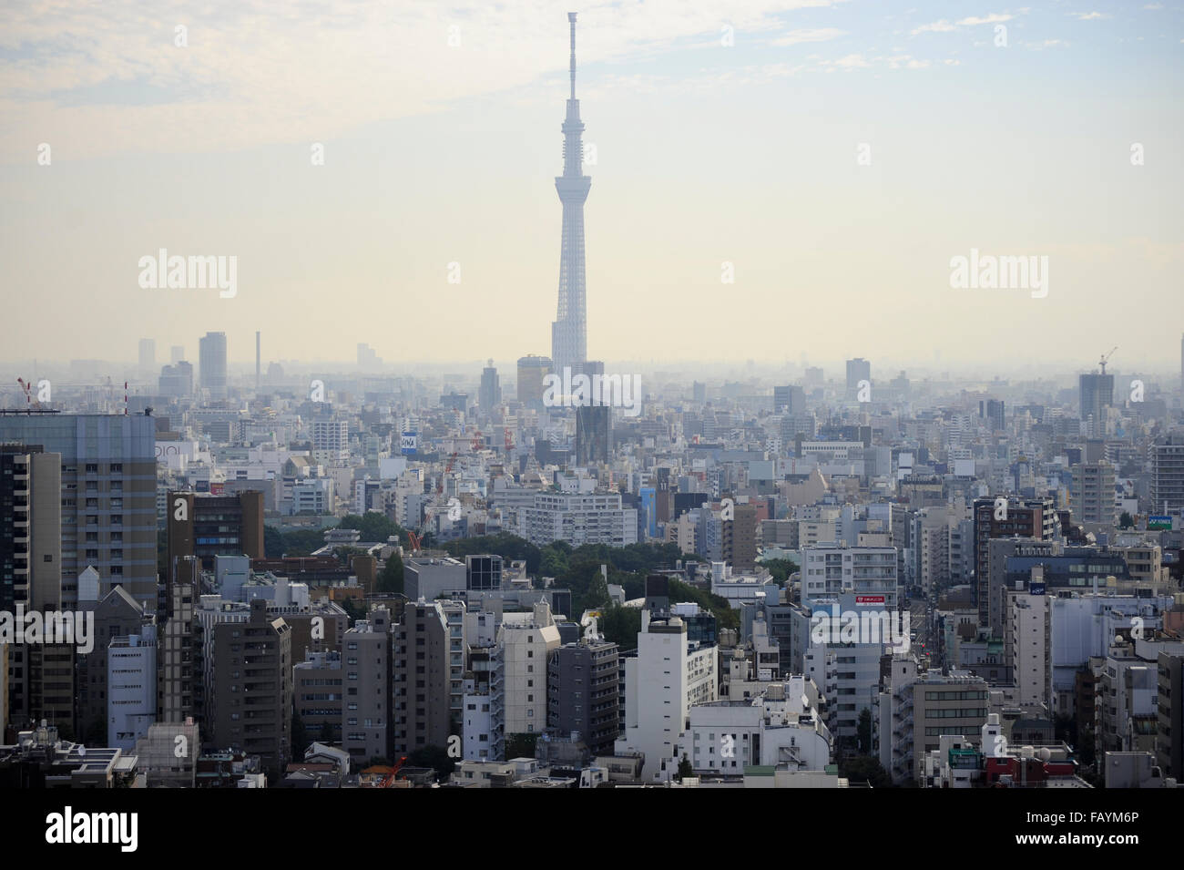 Tokyo skyline Stock Photo