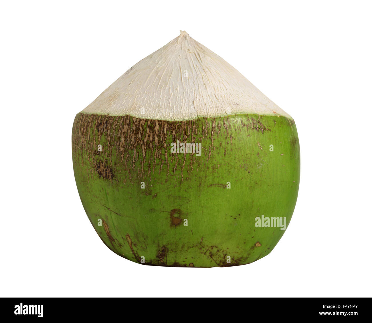 Coconut green fruit isolated on white background Stock Photo - Alamy