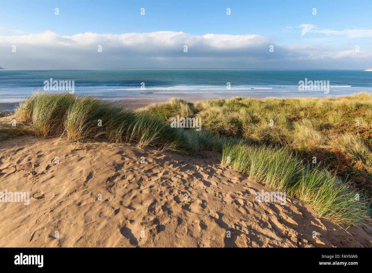 Grassy sand dunes above Woolacombe beach in North Devon, England Stock Photo