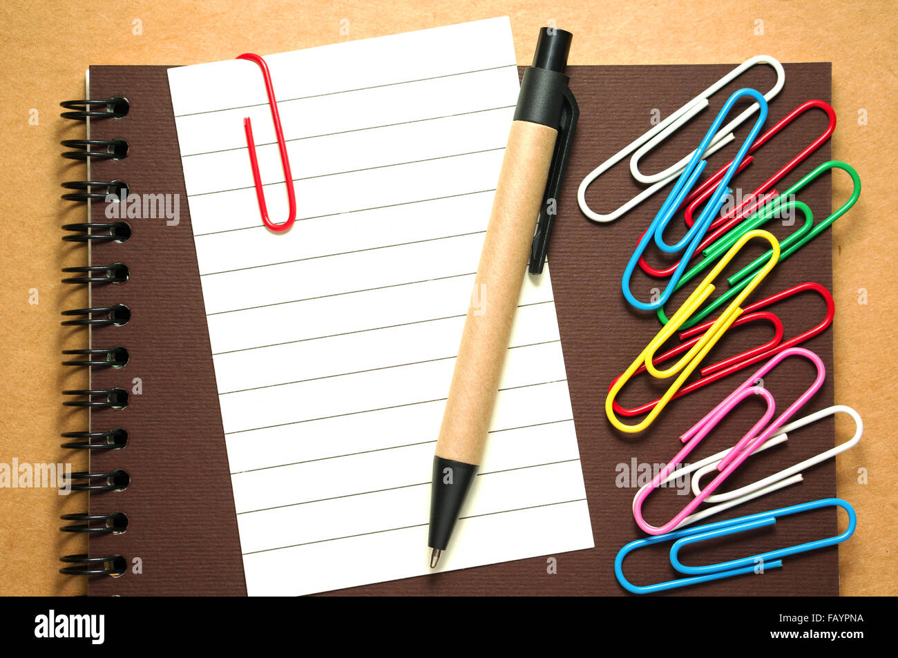 Calligraphy Pens Pna informacionpublica.svet.gob.gt