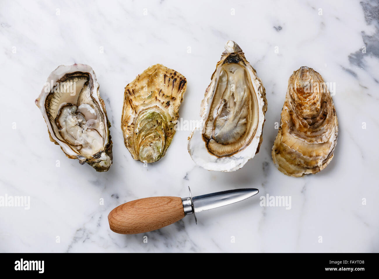 Shucked Oysters Fines de Claire and oyster knife on white marble background Stock Photo