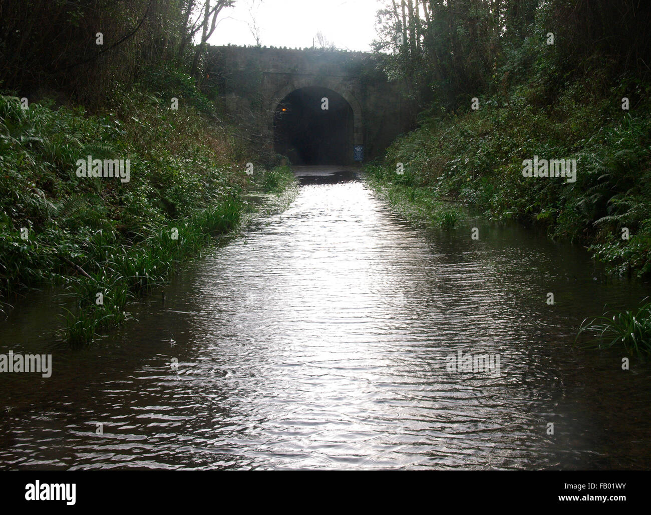 Tarka Trail flooded in winter, Instow, Devon, UK Stock Photo - Alamy