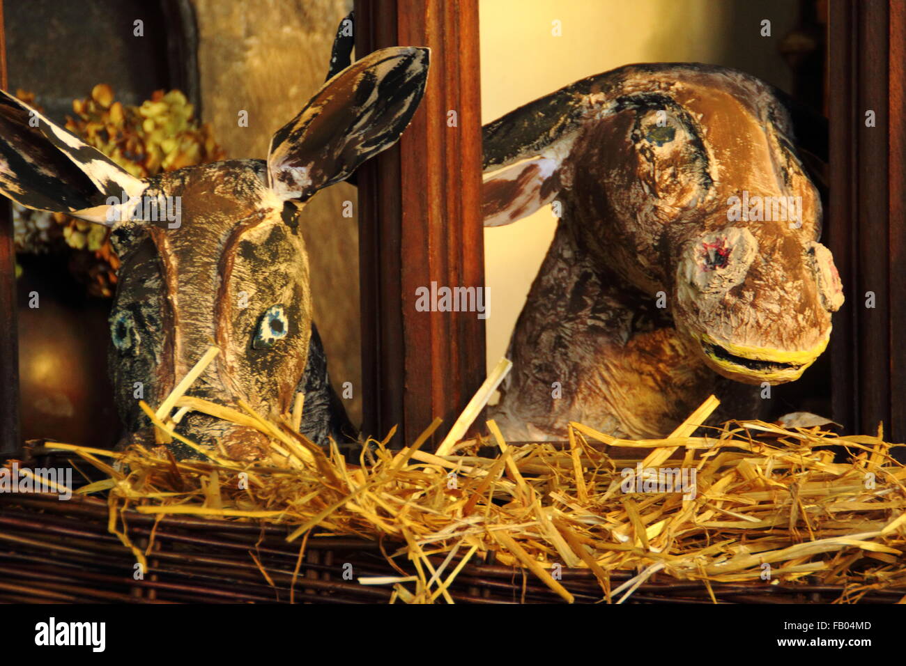 Donkeys in a nativity scene recreated in an old English church, UK