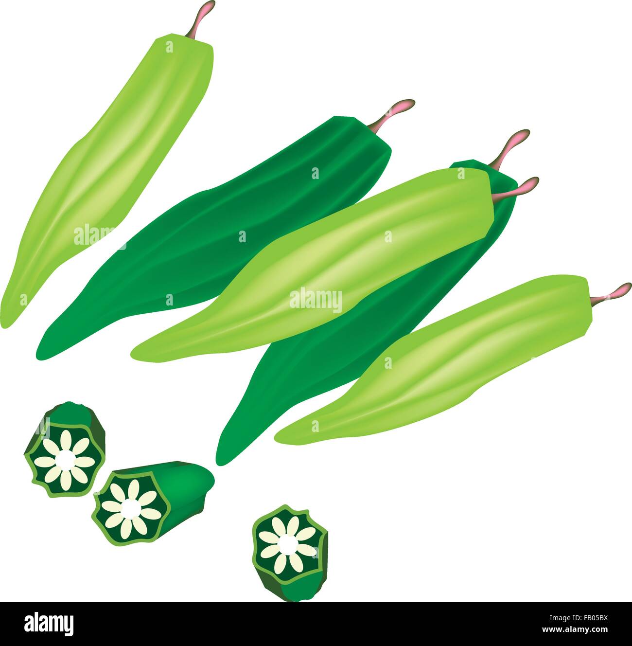 vegetable and herb vector illustration of fresh and sliced okra or FB05BX