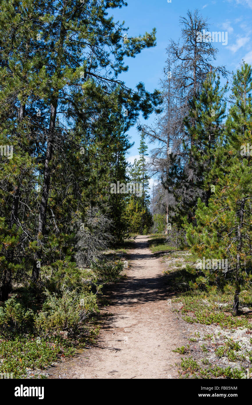 Jackman Flats, Valemount, British Columbia, Canada Stock Photo Alamy
