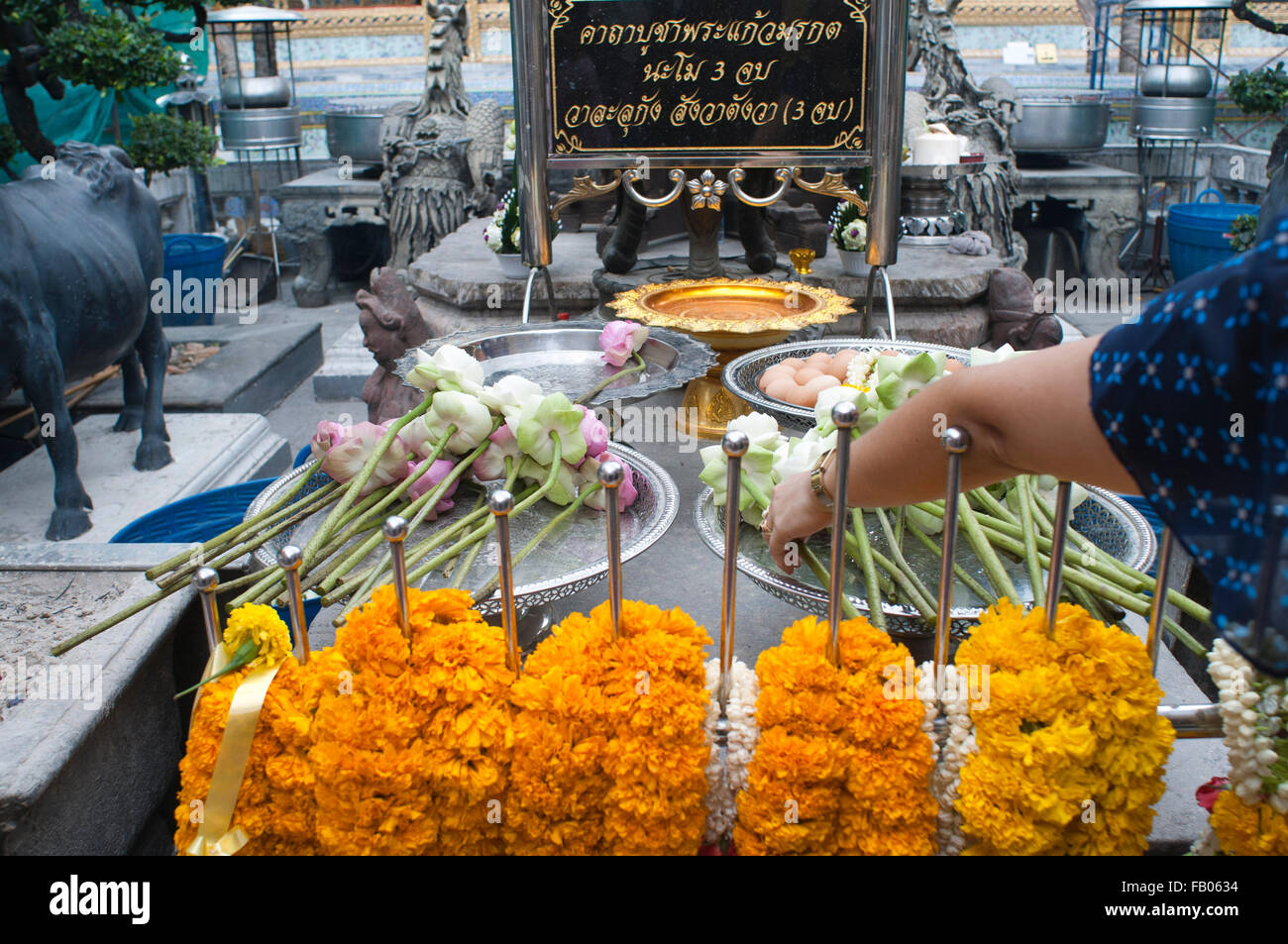 Pray and offerings, bot, Buddha, Prayers, People, Temple, Wat Phra Kaeo