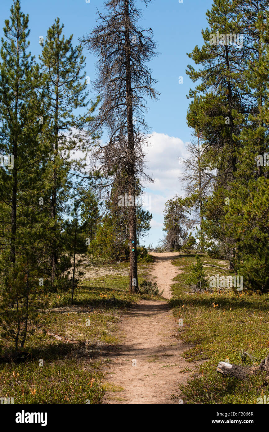 Jackman Flats, Valemount, British Columbia, Canada Stock Photo Alamy