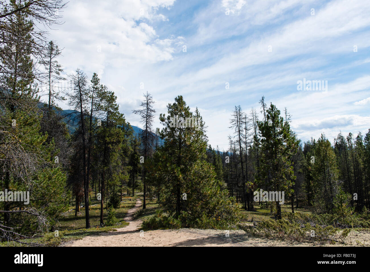 Jackman Flats, Valemount, British Columbia, Canada Stock Photo Alamy
