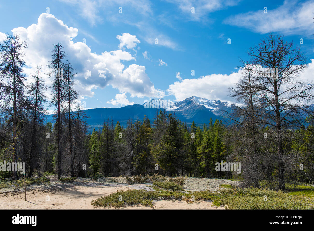 Jackman Flats, Valemount, British Columbia, Canada Stock Photo Alamy