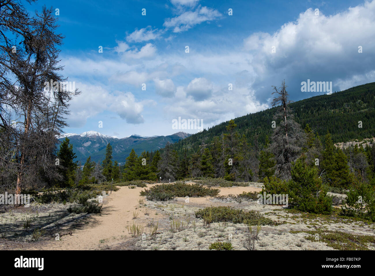Valemount canada hires stock photography and images Alamy