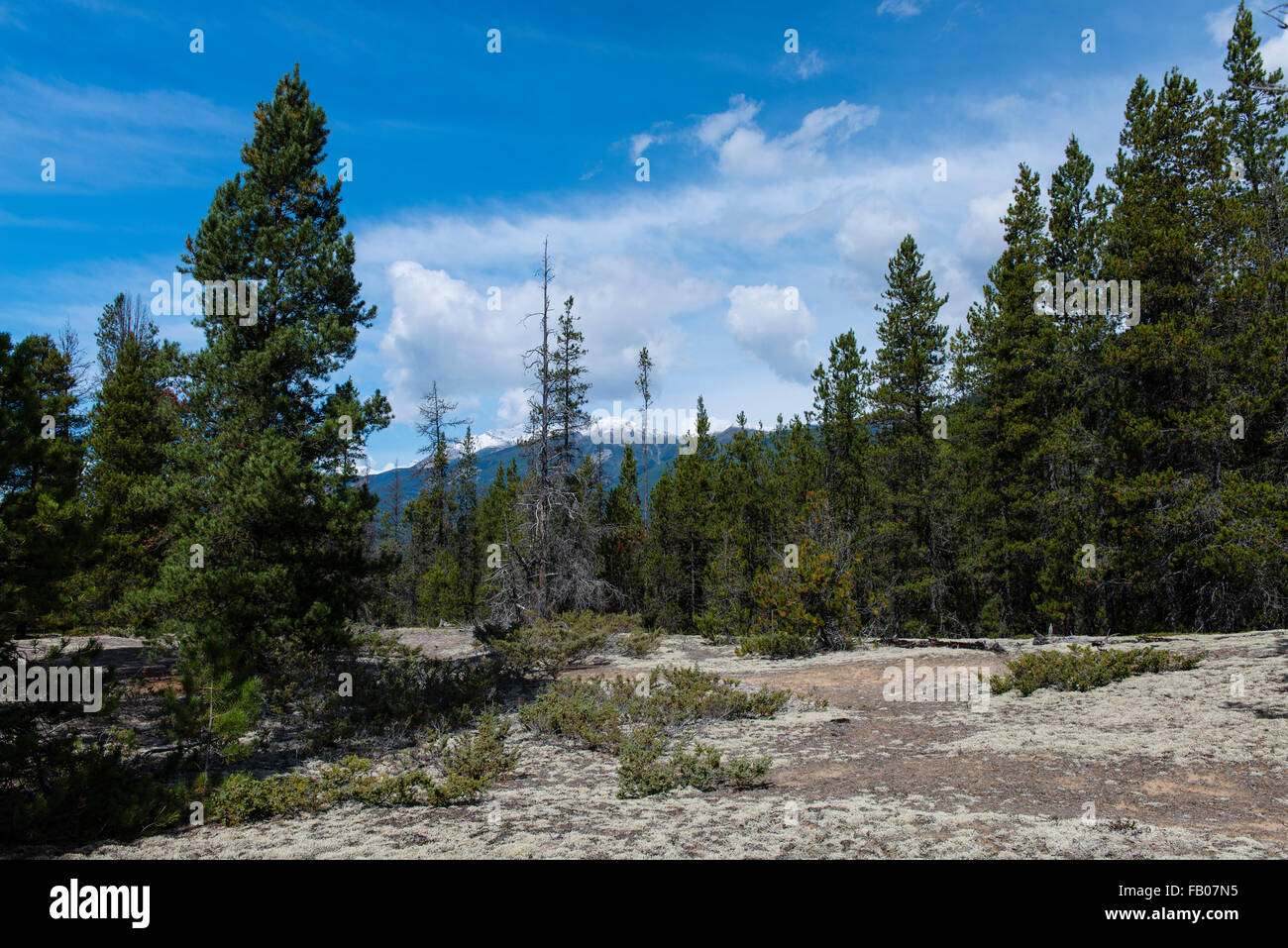 Valemount canada hires stock photography and images Alamy