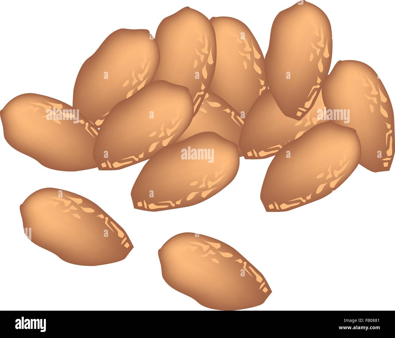 Fruit, A Pile of Dried Chebulic Myrobalan or Terminalia Chebula Isolated on White Background. Stock Vector