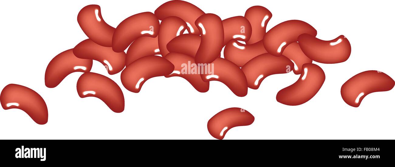 A Pile of Dried Kidney Beans on White Background, Good Source of