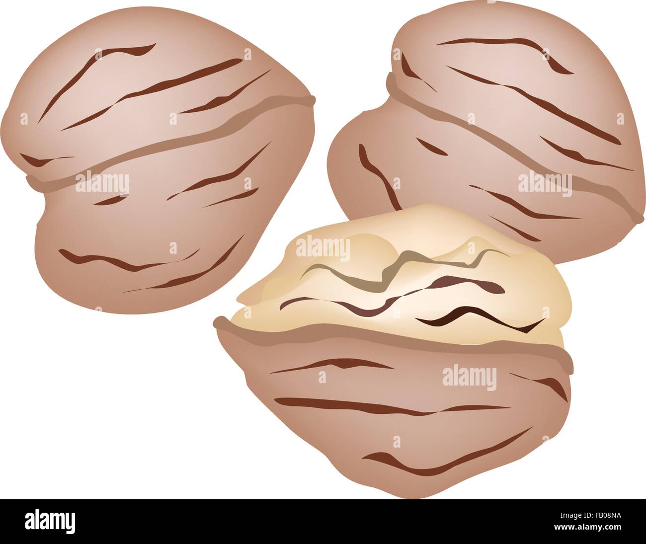 A Pile of Shelled and Unshelled Walnuts Isolated on White Background