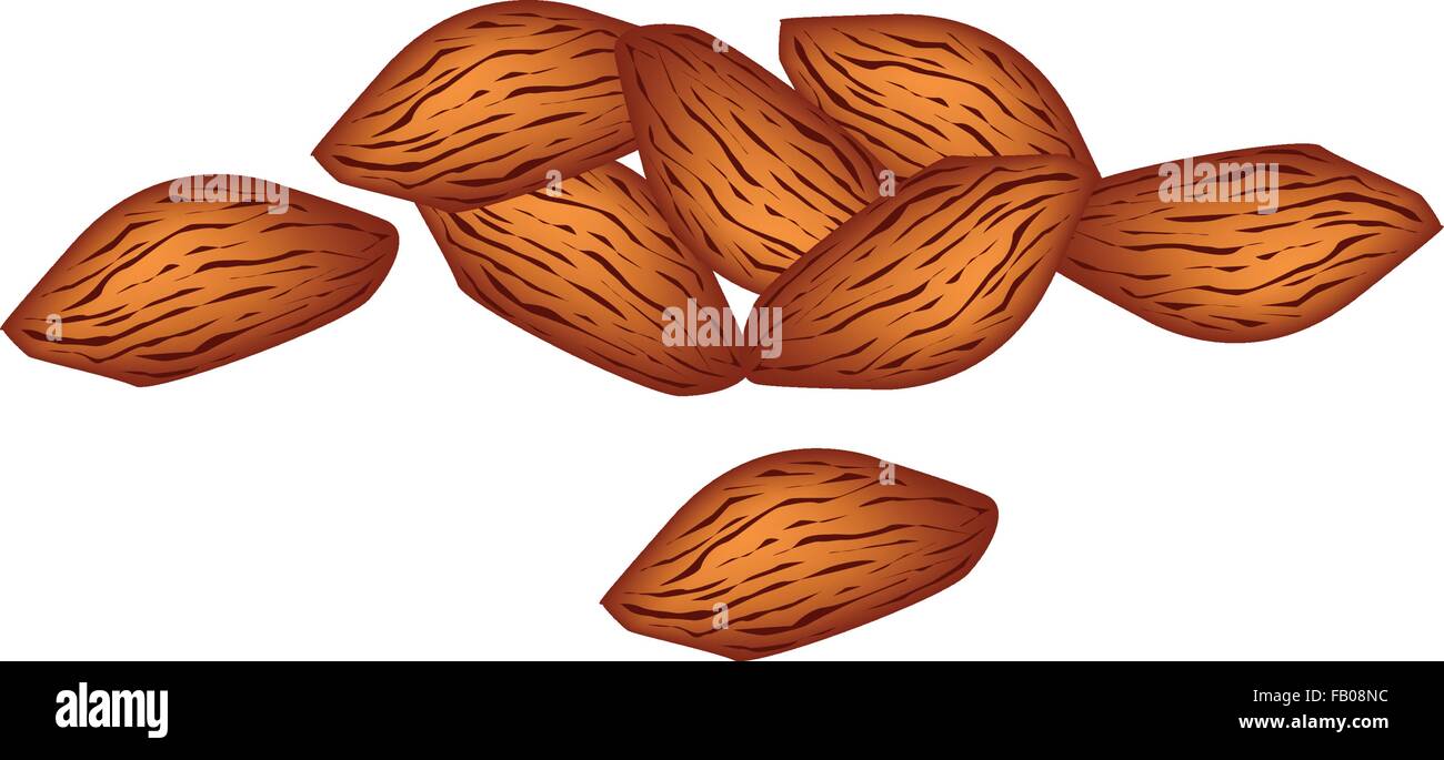 A Pile of Shelled Almonds Isolated on White Background, Good Source of