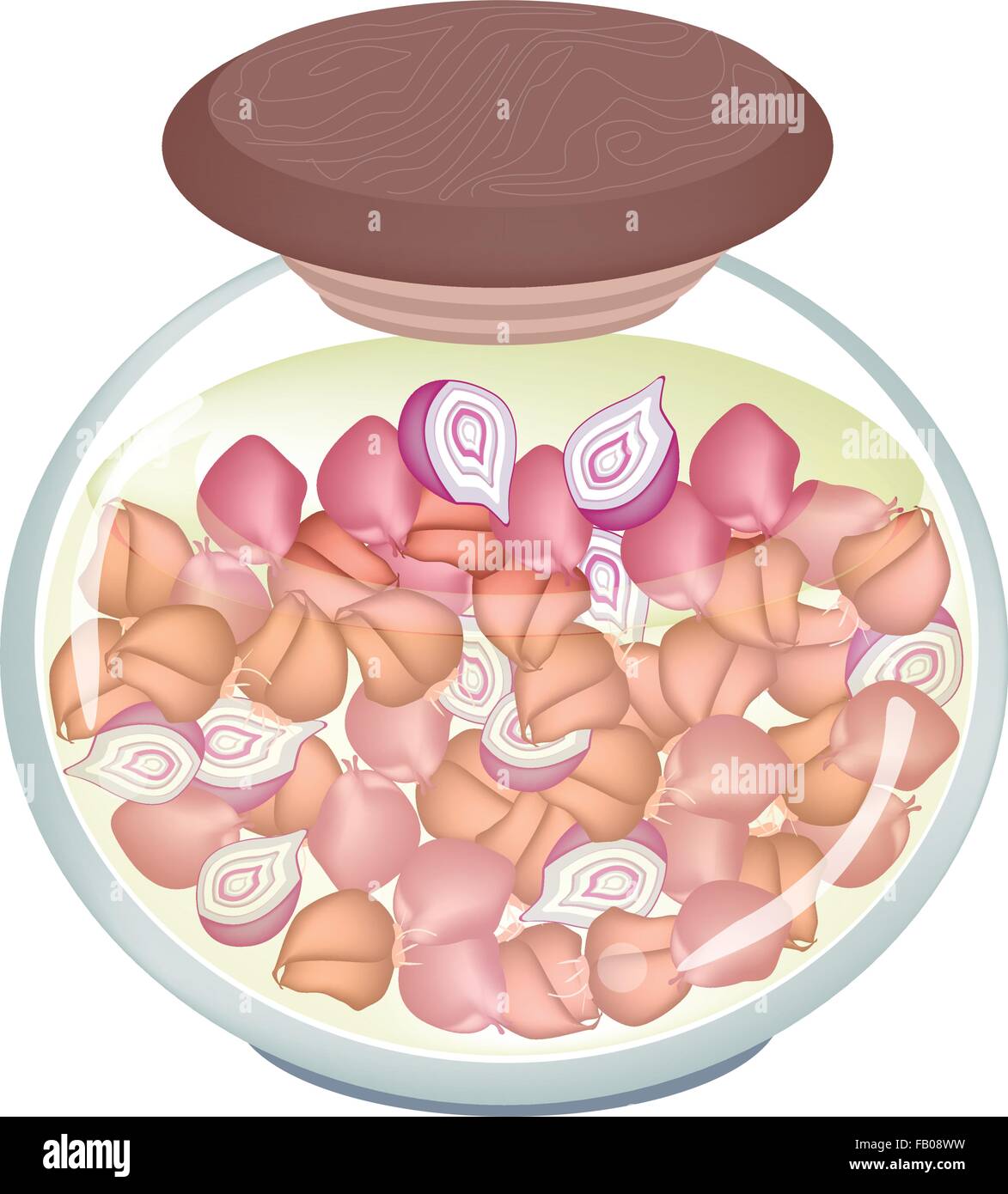 Pickled shallots Stock Vector Images Alamy