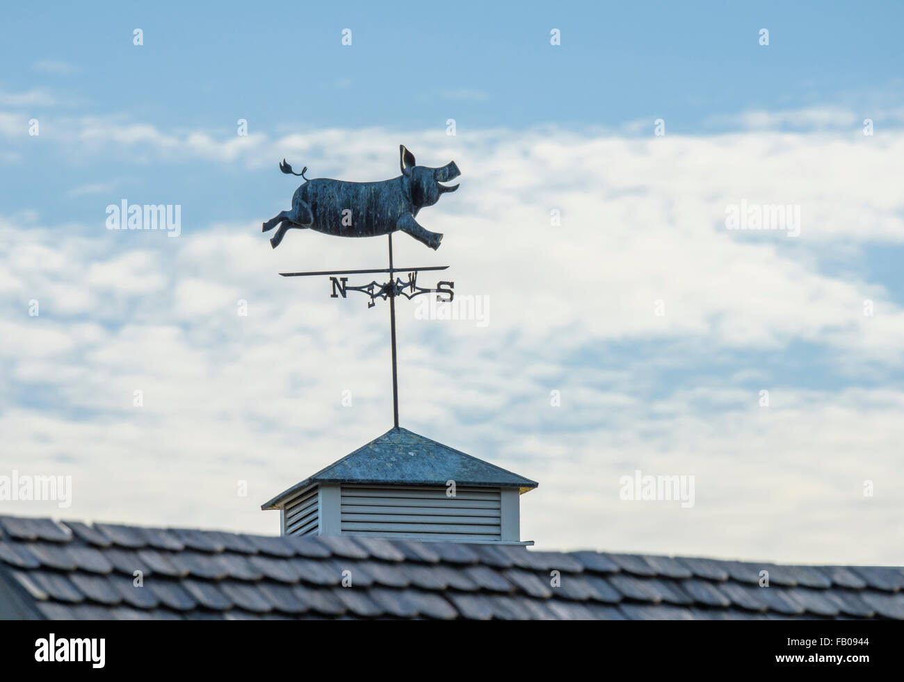 Pig flying weather vane atop barn cupola Stock Photo