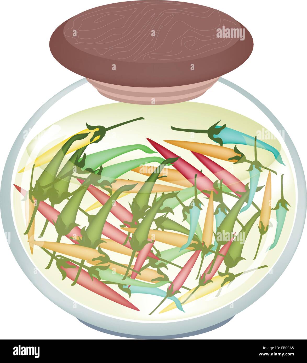 Illustration of Delicious Pickled Chili Peppers in Vinegar, Sugar, Salt