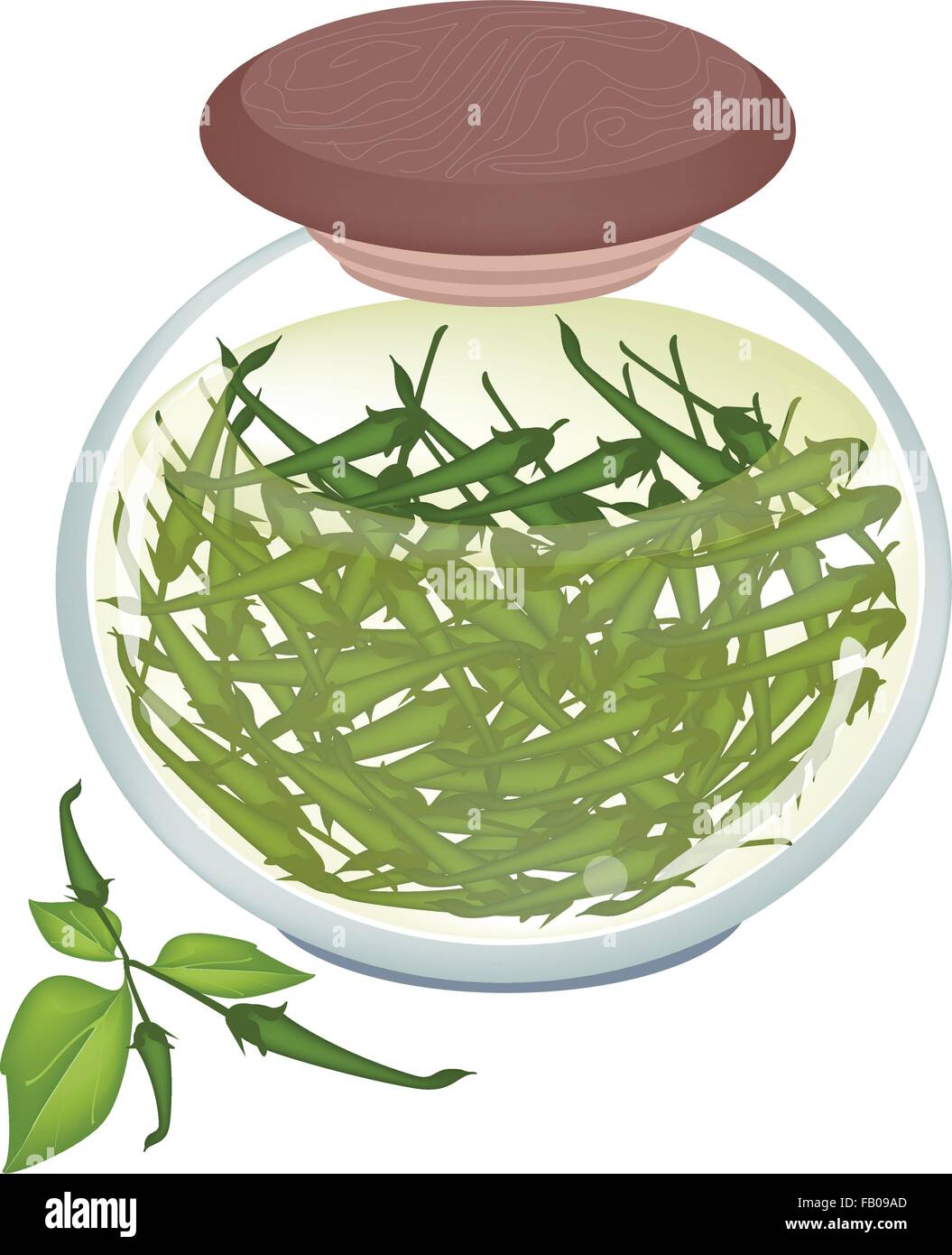 Illustration of Delicious Pickled Green Chili Peppers in Vinegar, Sugar