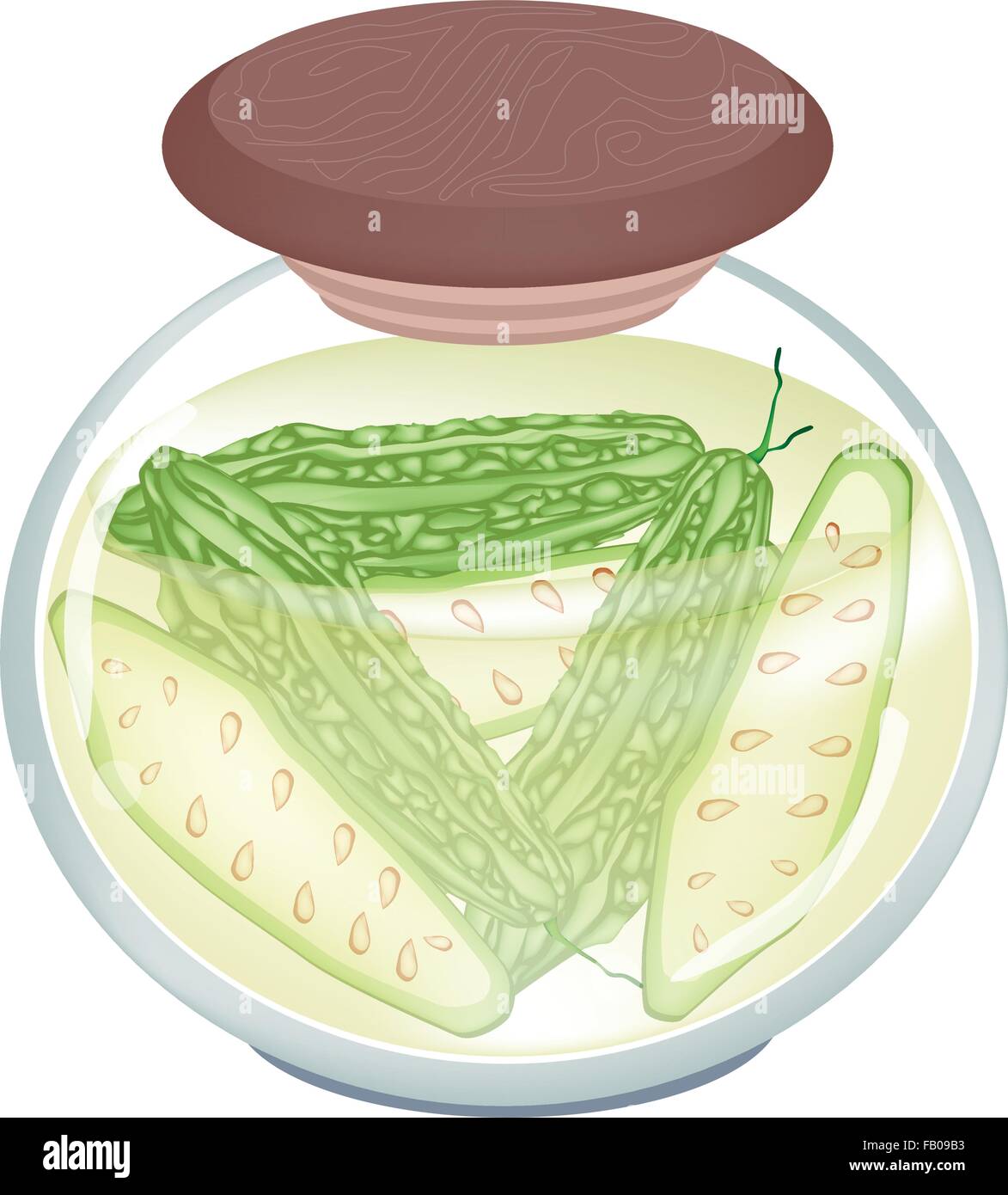 An Illustration of Pickled Bitter Melons, Balsam Pear, Balsam Apple or Bitter Gourd in Brine of Vinegar and Salt in A Glass Jar. Stock Vector