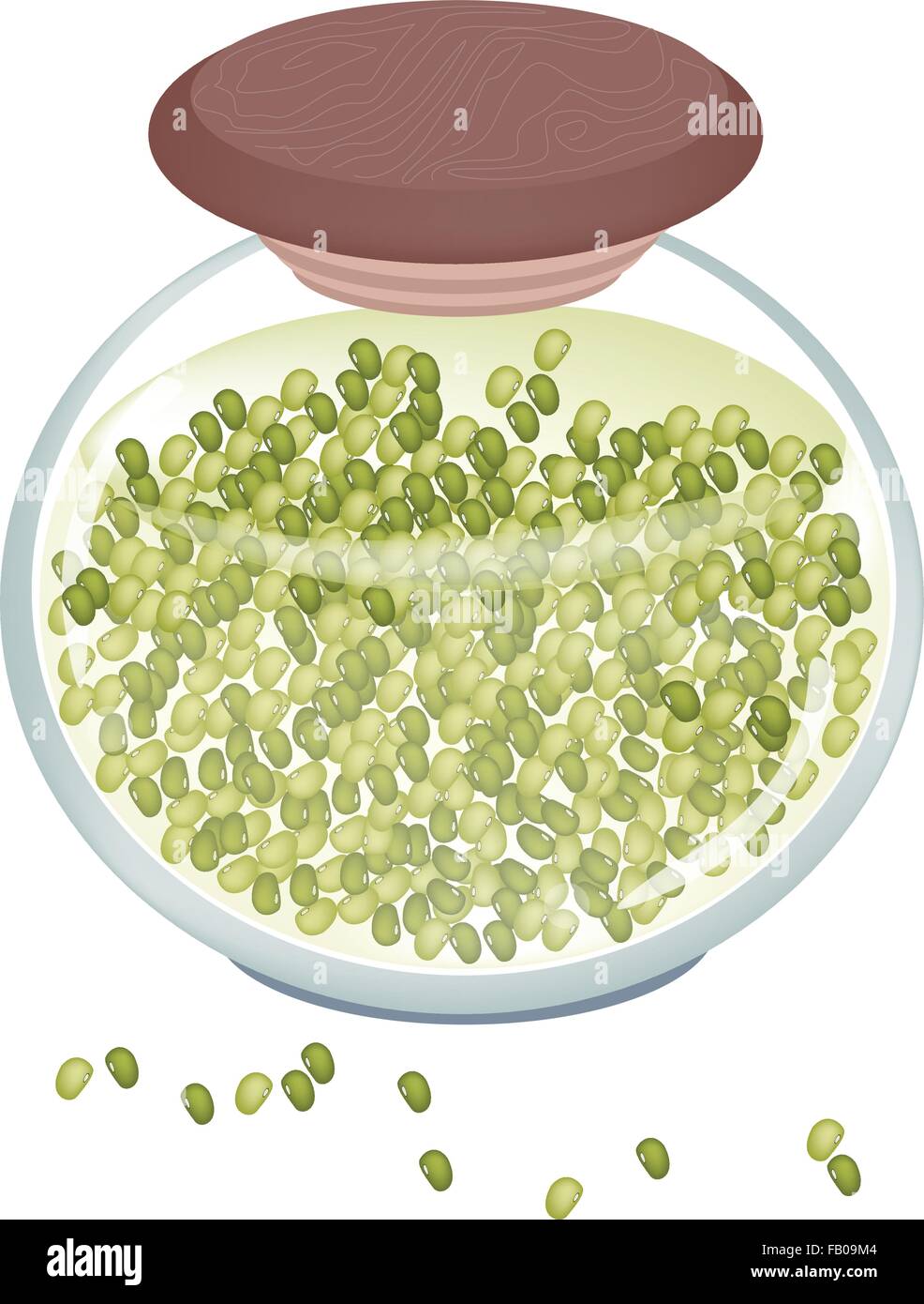 Baked beans in can Stock Vector Images Alamy