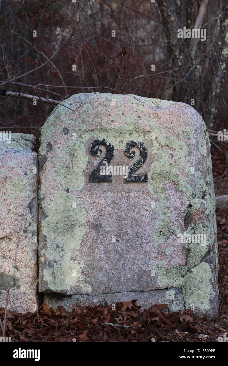 Images from Dogtown Massachusetts