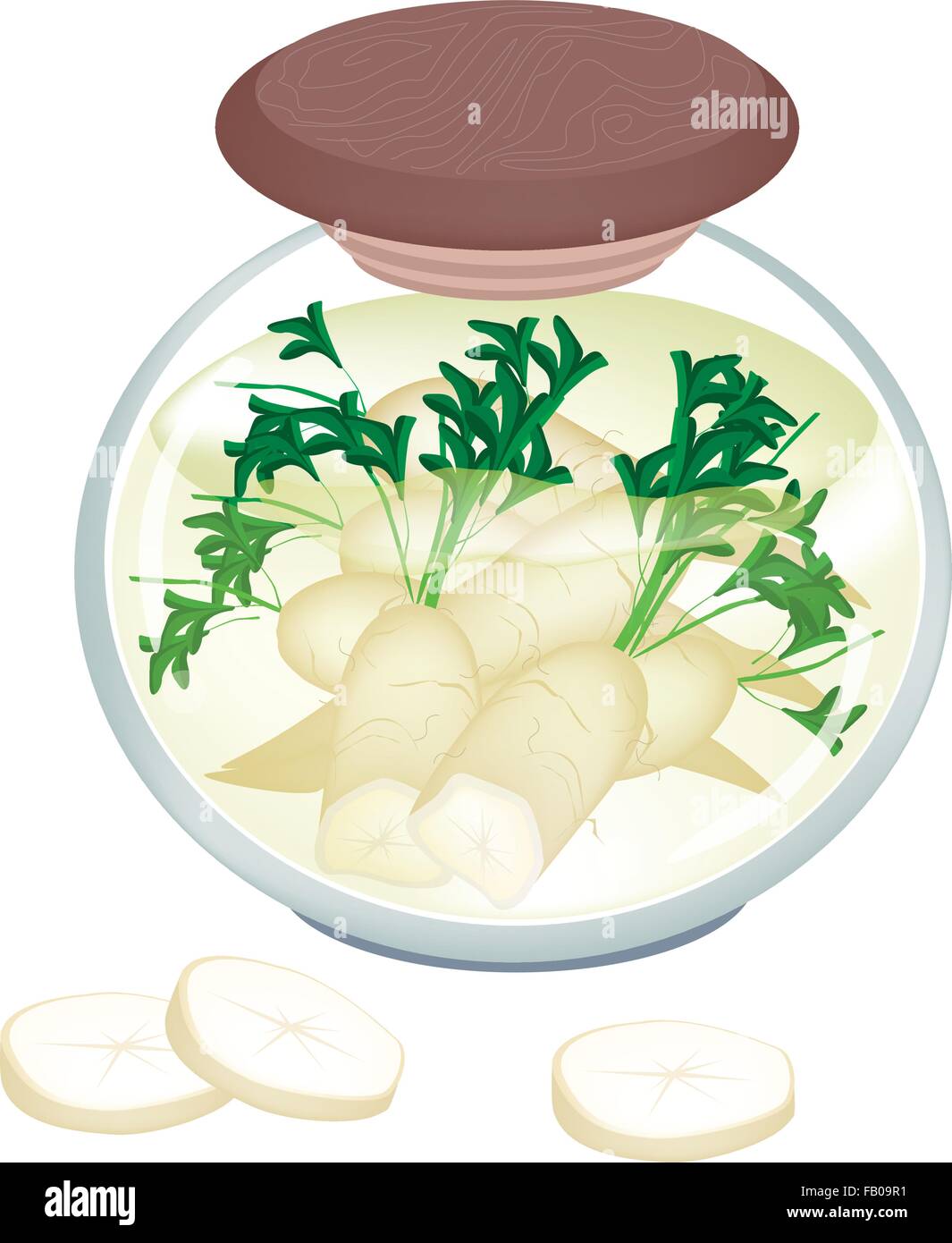Japanese pickled white radish Stock Vector Images Alamy