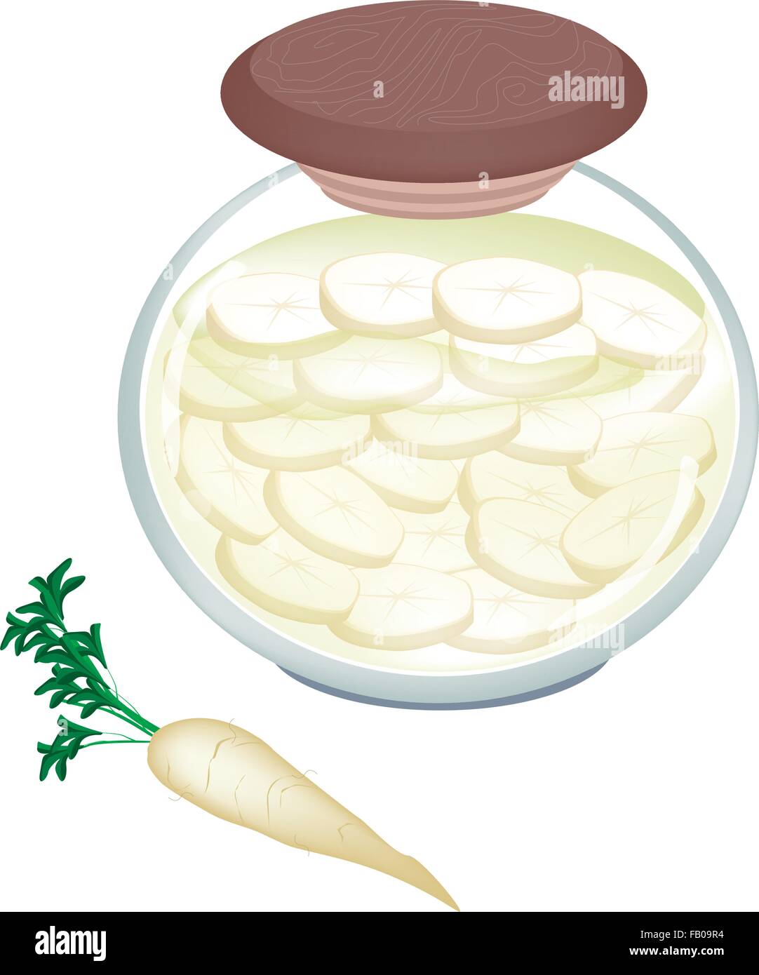 Illustration of Pickled Slice White Radishes or Daikon Radishes in