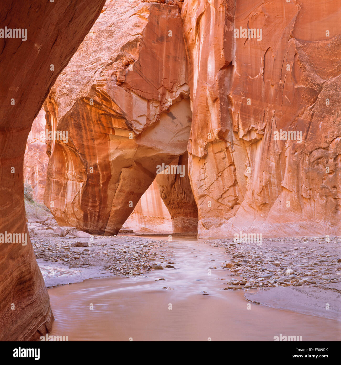 Slide rock hi-res stock photography and images - Alamy