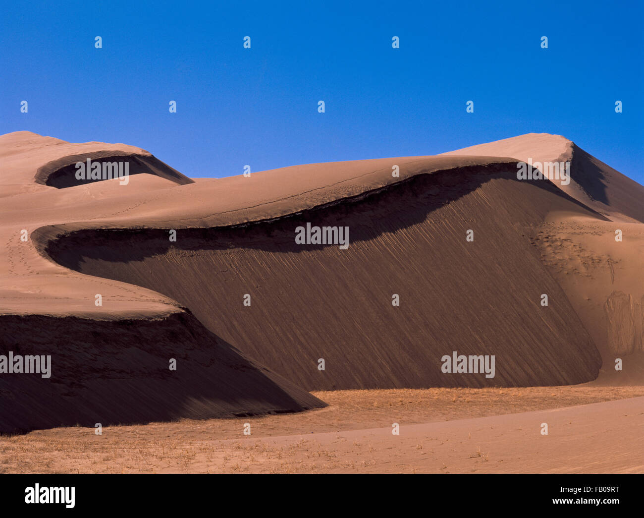 st. anthony sand dunes near rexburg, idaho Stock Photo 92820780 Alamy