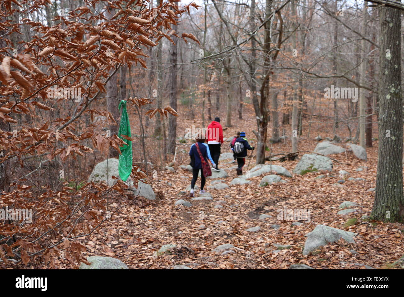 Photos along the hiking trails of Dogtown