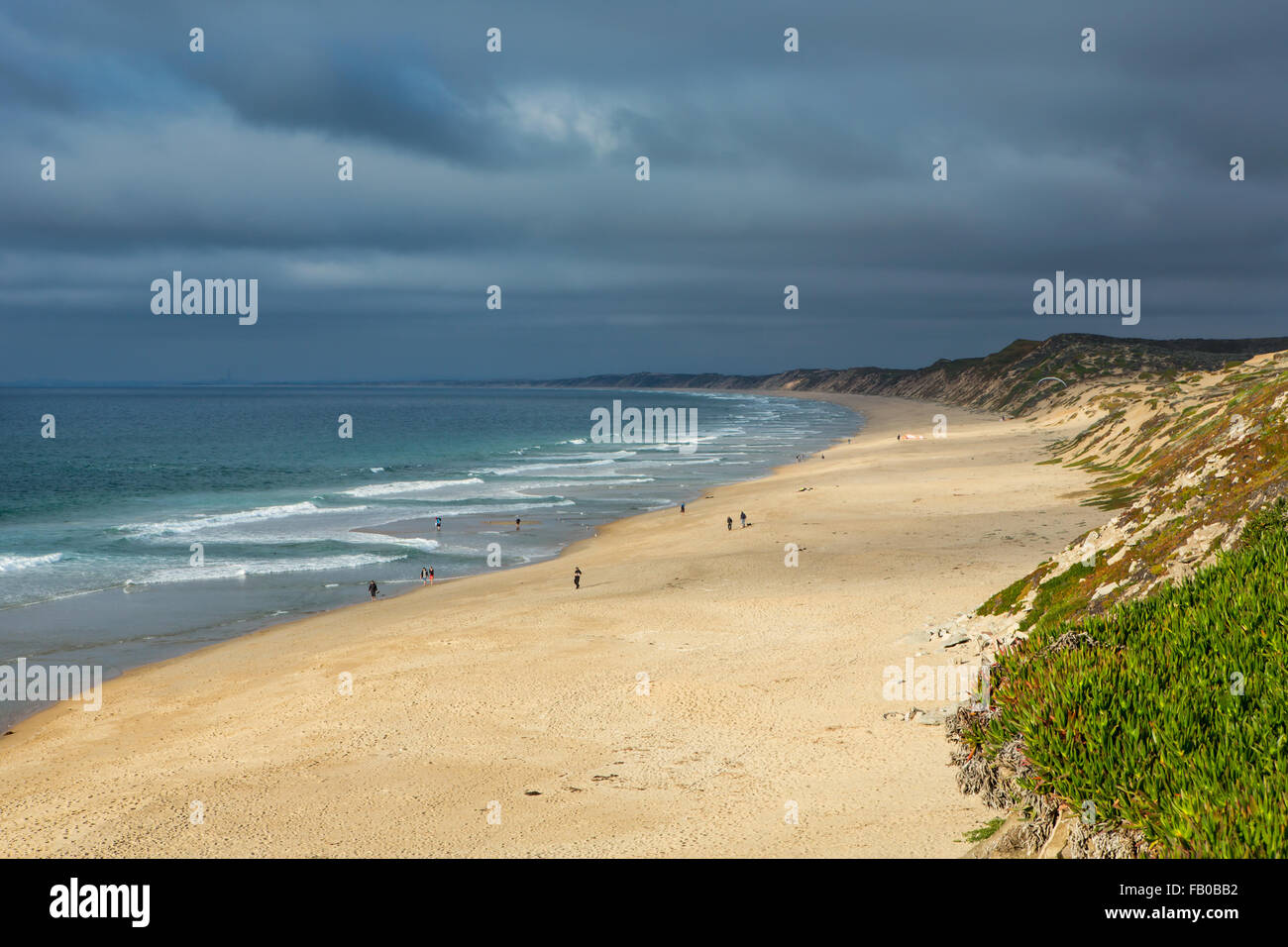 Seascape near Monterey, California. Stock Photo