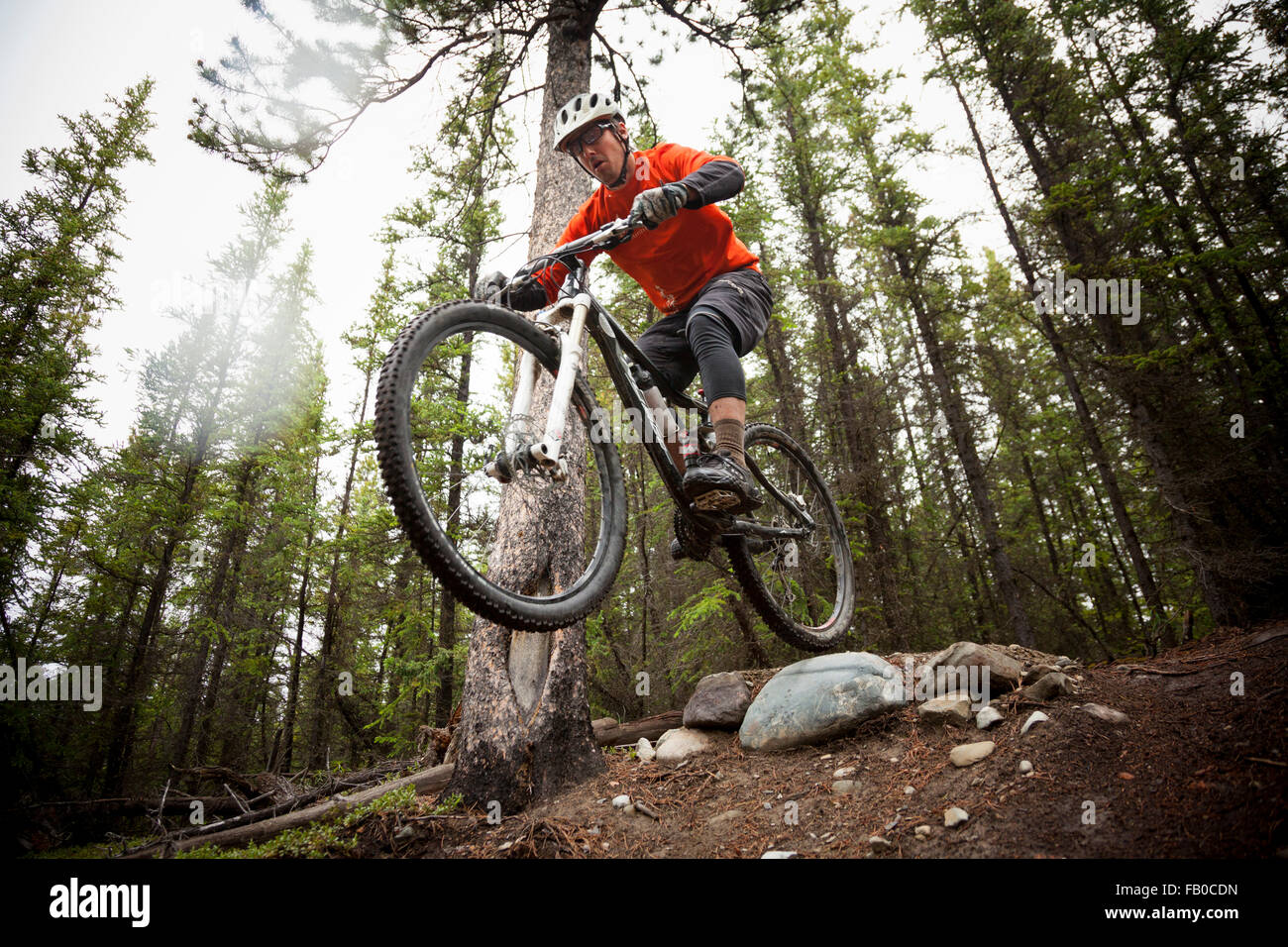 Sylvain of Boréale Explorers mountain biking on a trail in the Yukon territory, Canada. Stock Photo