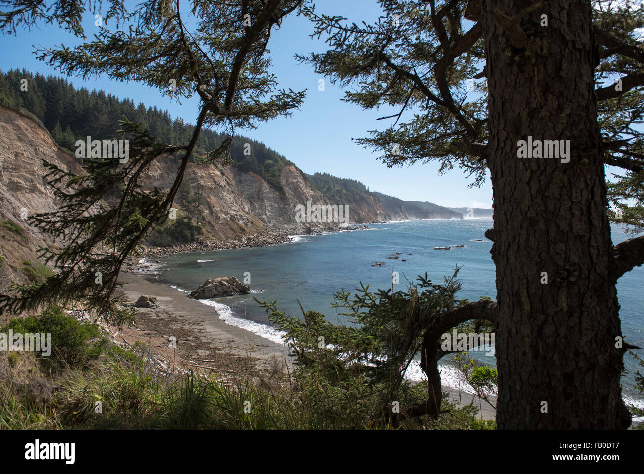 View of the Oregon Coast beach and Pacific Ocean from Cape Arago State Park near Coos Bay, Oregon. Stock Photo