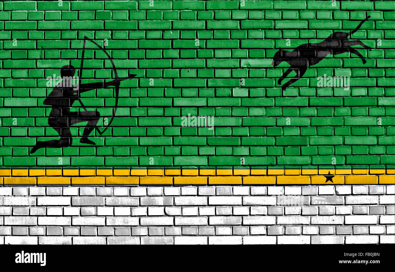 flag of Amazonas Department painted on brick wall Stock Photo