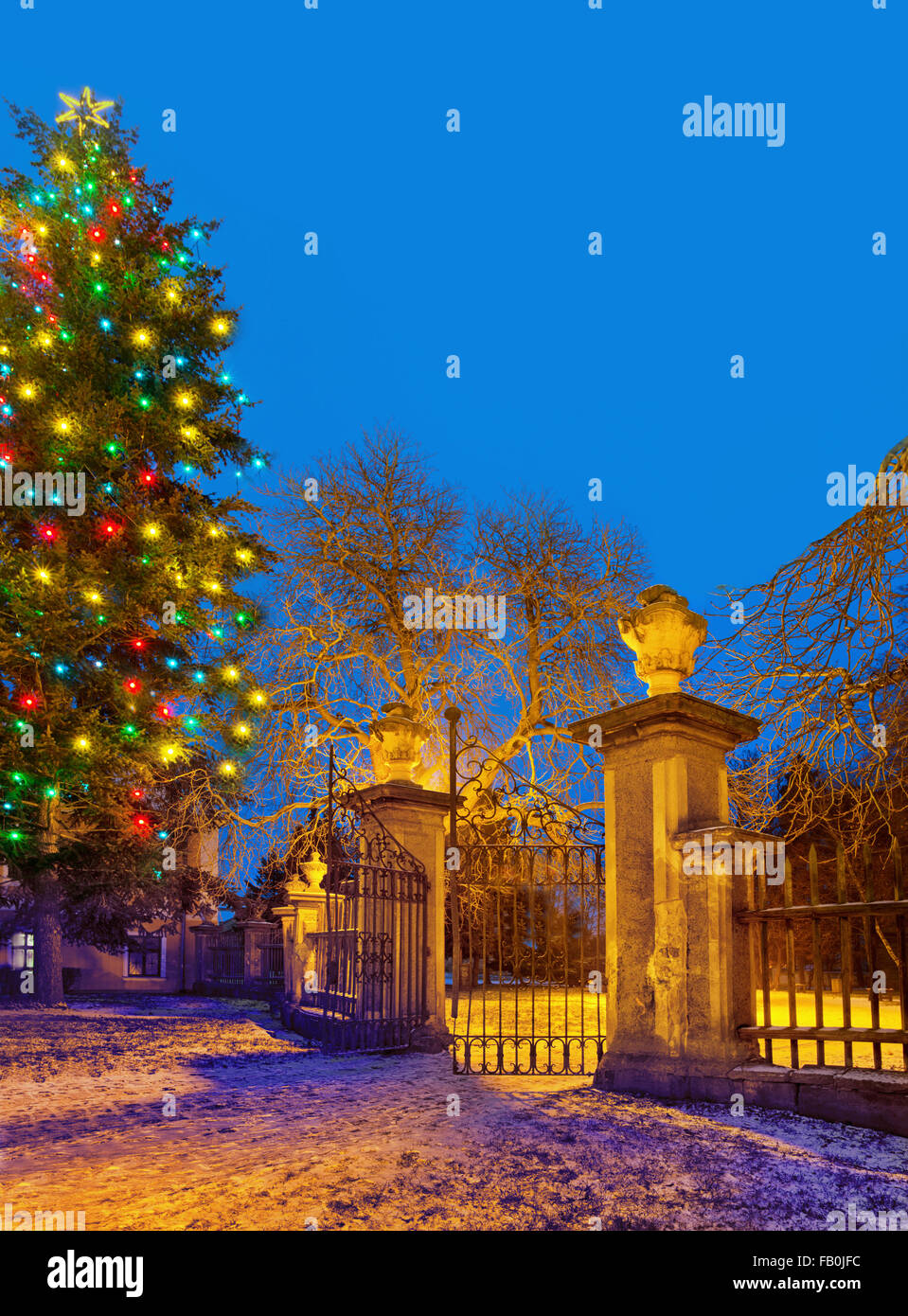 Christma tree with old gateway in the Christmas time Stock Photo Alamy