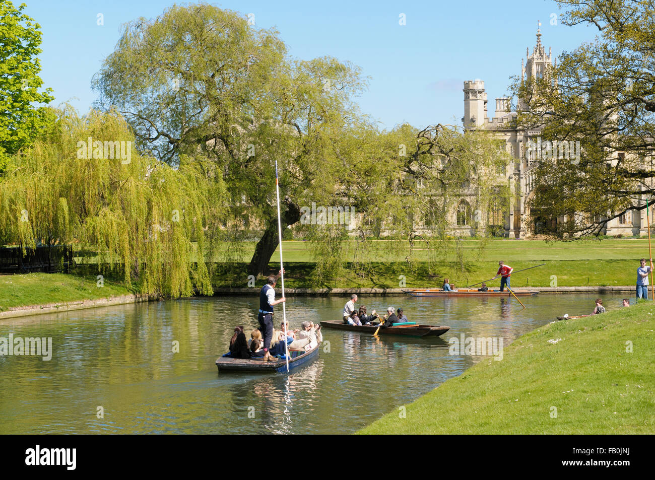Punting on the river Cam behind the colleges in an area called the Backs, Cambridge, England, UK Stock Photo