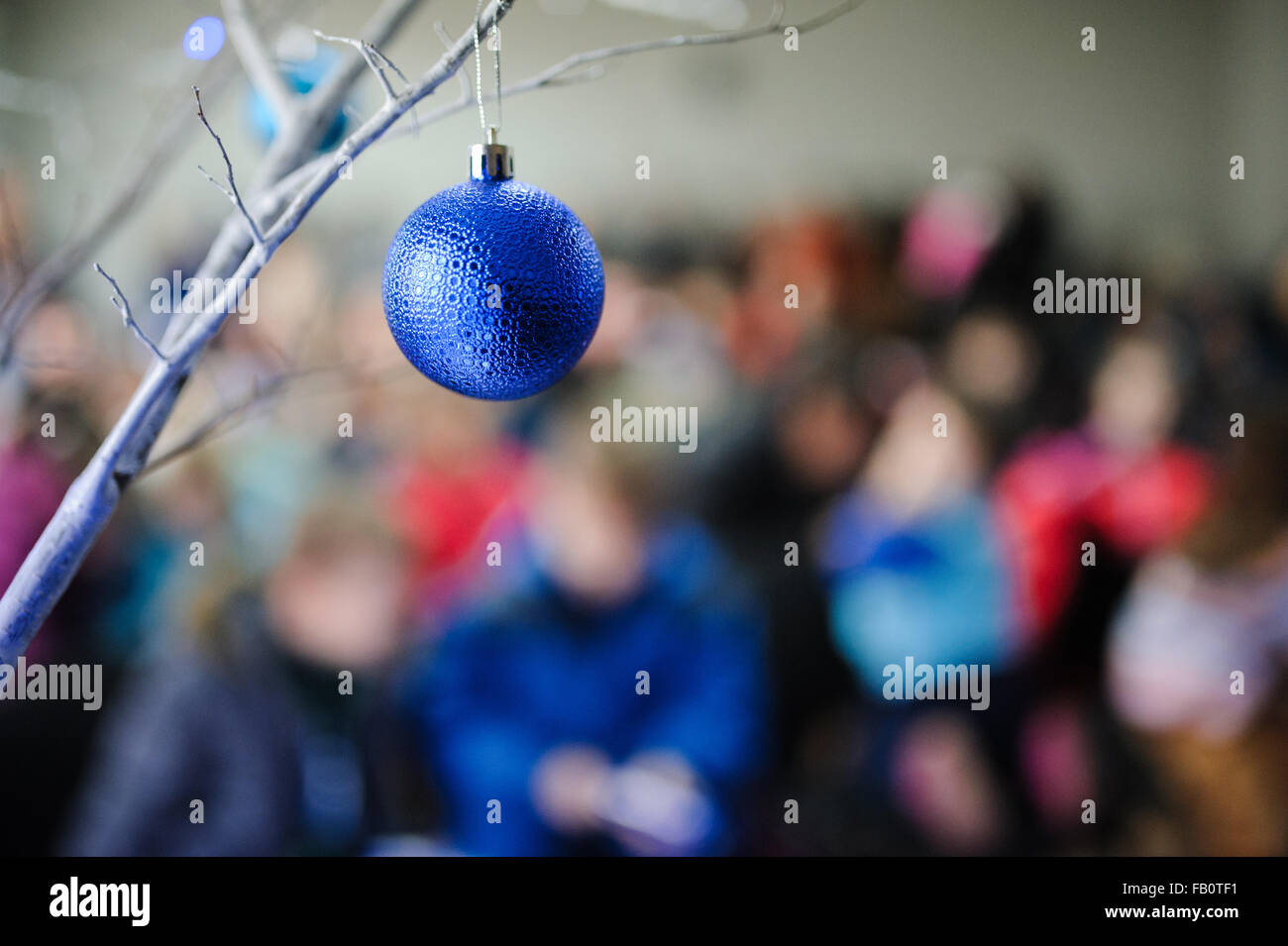 blue Christmas ornament hanging on a tree branch Stock Photo - Alamy