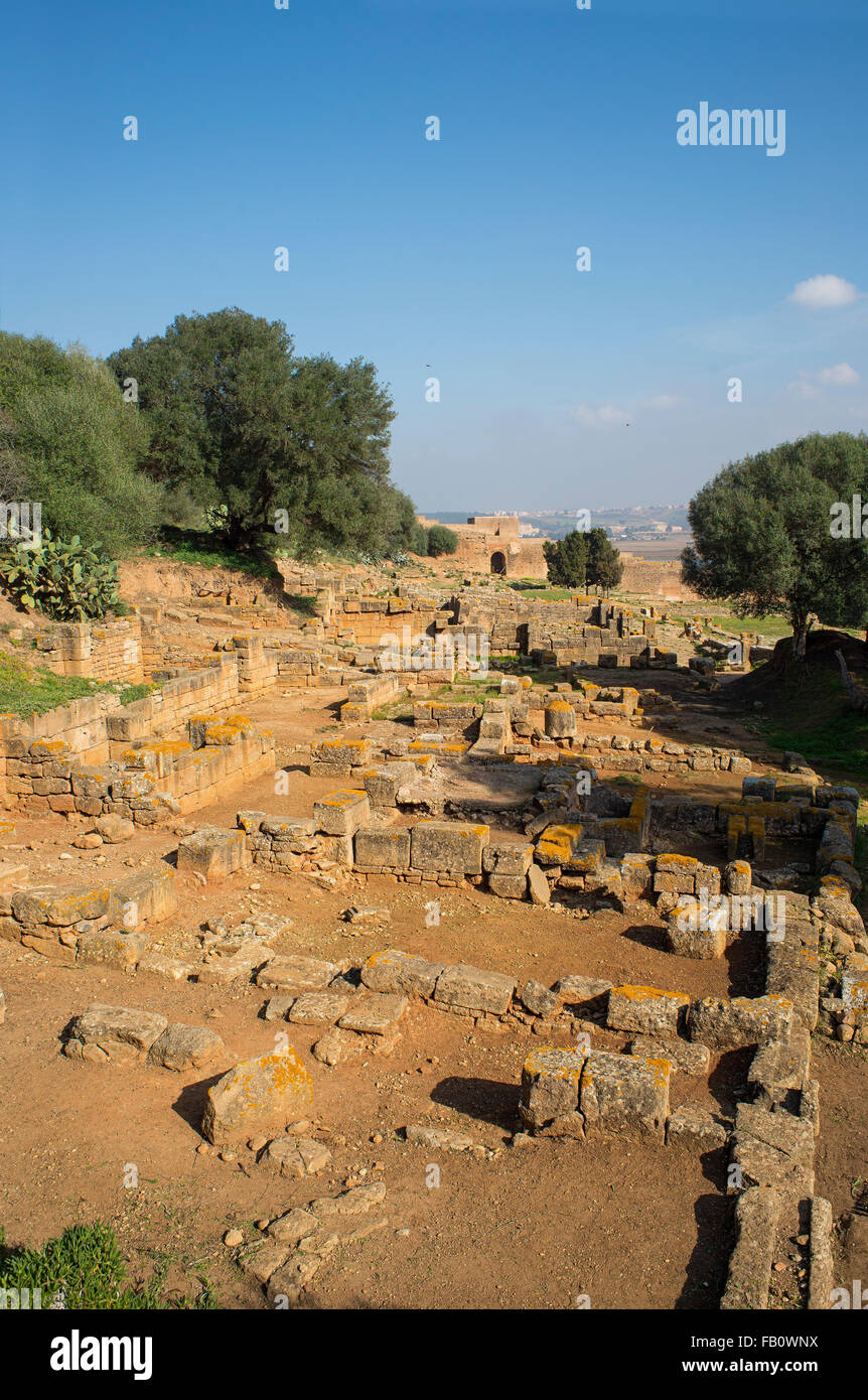 Archaeological site of the Roman city known as Sala Colonia in Chellah. Chellah is the necropolis of Rabat. Morocco. Stock Photo