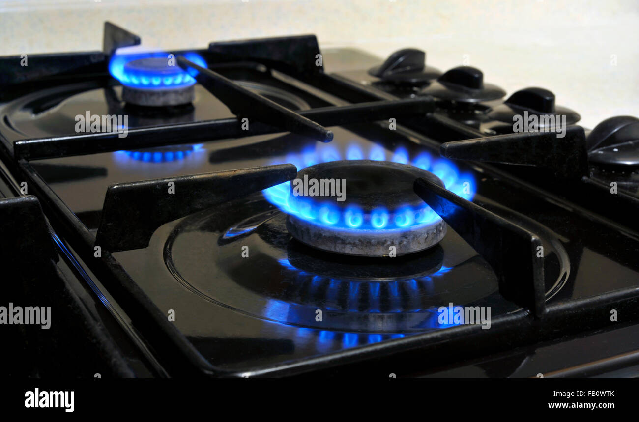 4 Burner Gas Hob - Buy 4 Burner HobTop at Best Prices | Glen — Glen  Appliances Pvt. Ltd
