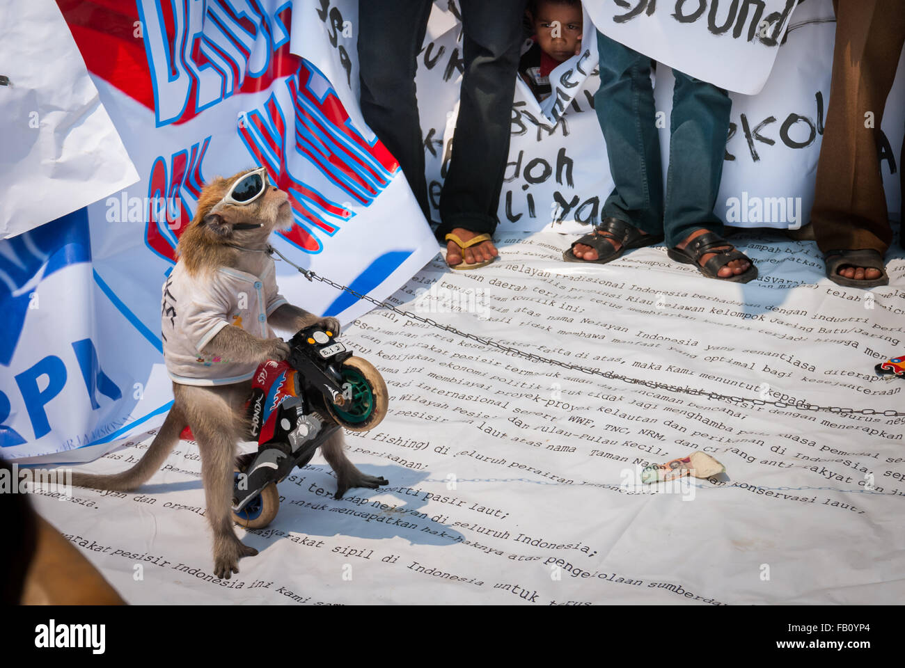 Masked monkey show at a mass protest in Jakarta, Indonesia. Stock Photo