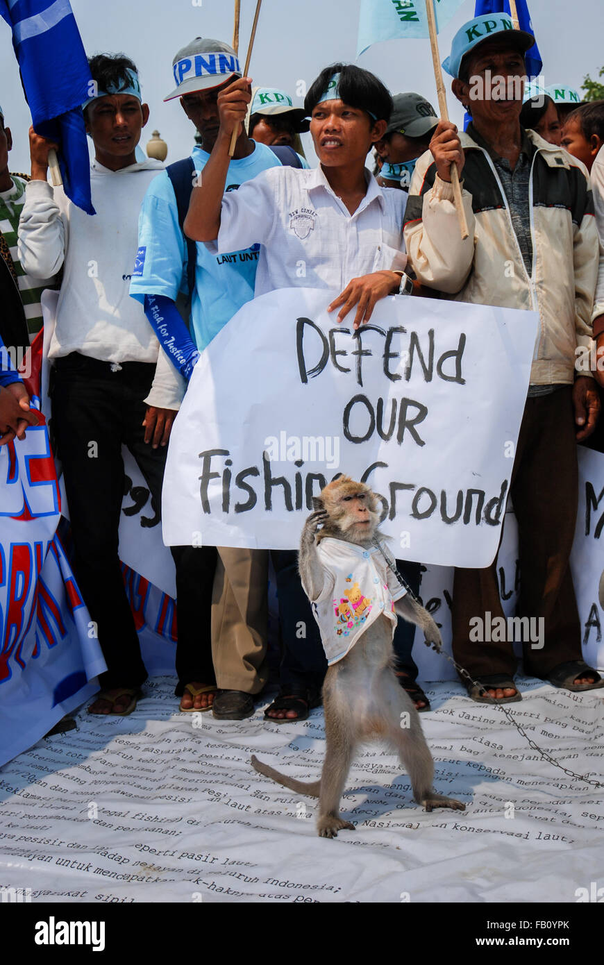 Masked monkey at mass protest in Jakarta. Stock Photo