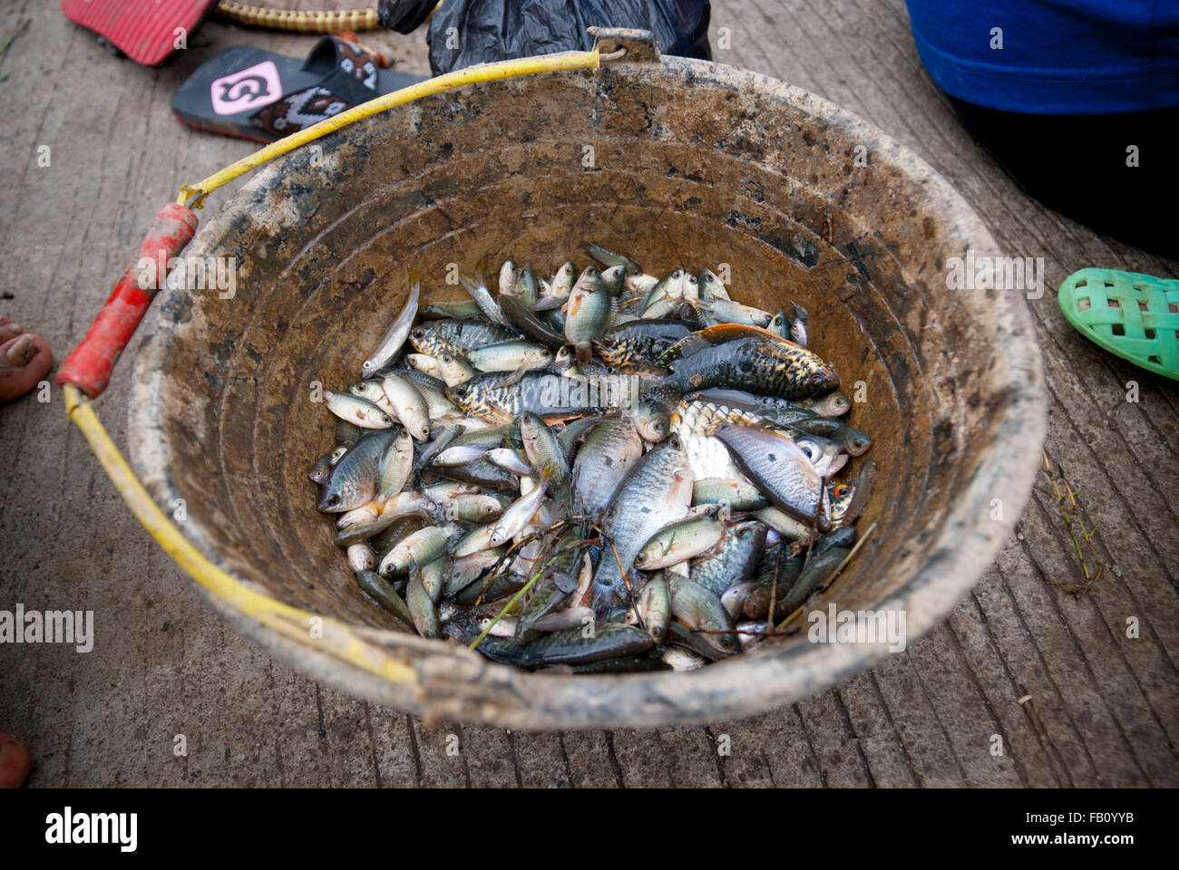Subsistence fish hunting hi-res stock photography and images - Alamy
