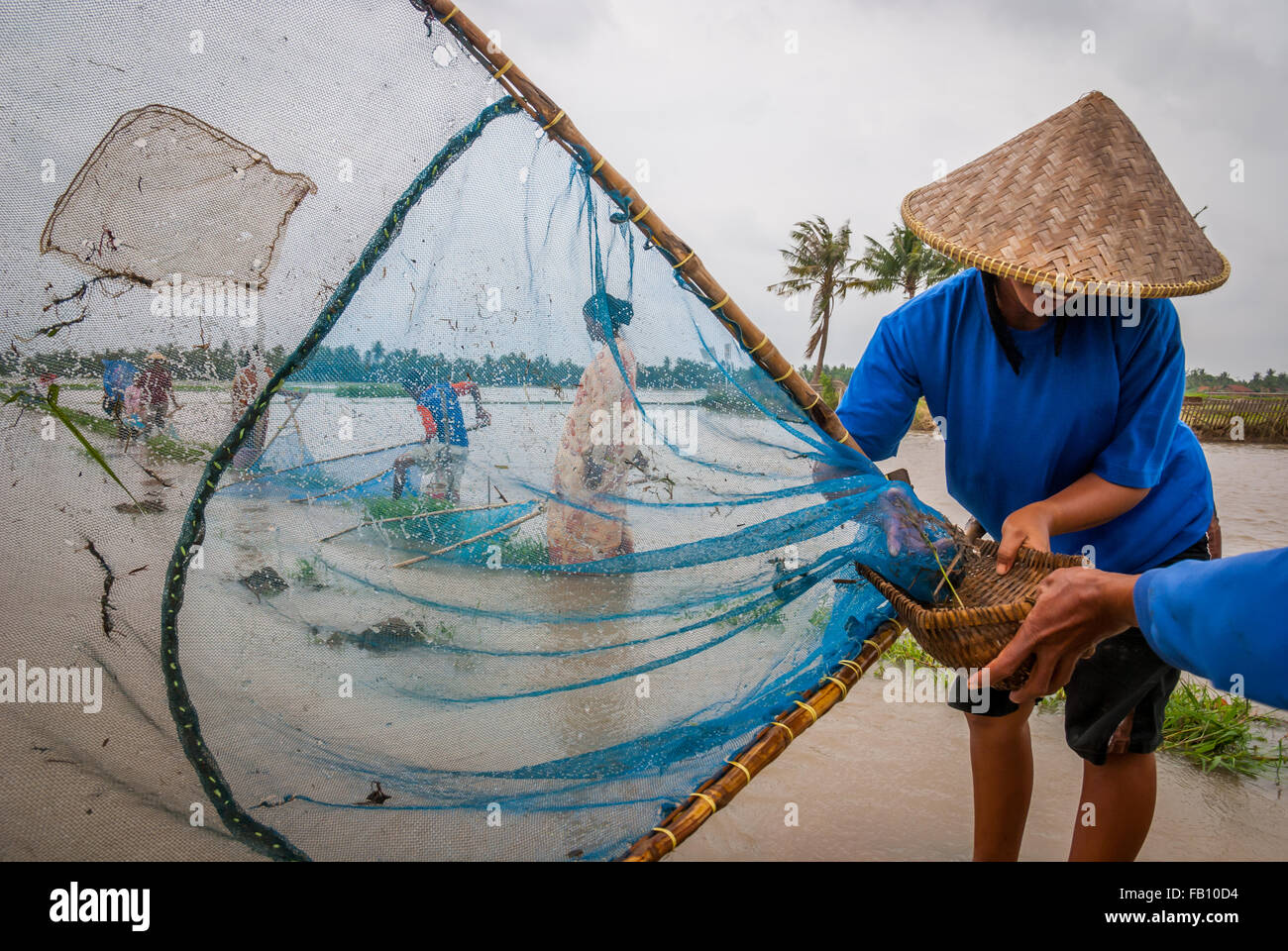 Farmers catching fishes on floodwaters. Stock Photo