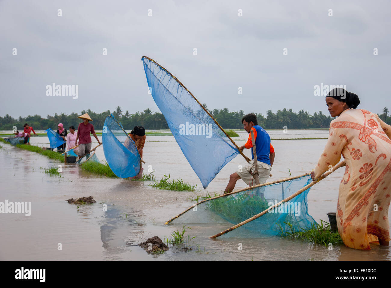 West Java farmers catching fishes on floodwaters. Stock Photo