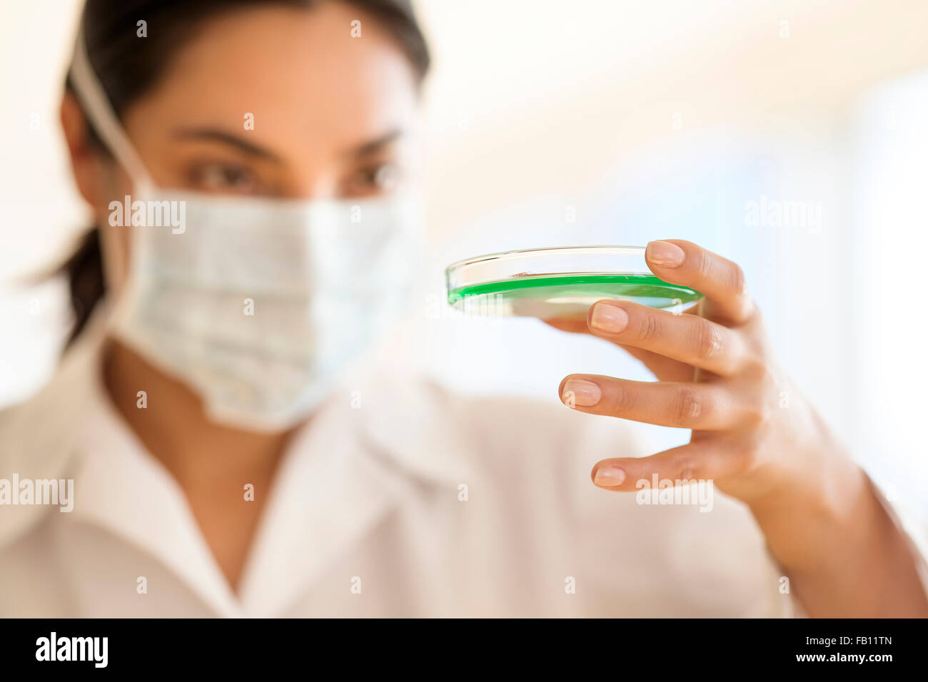 Scientist holding petri dish Stock Photo