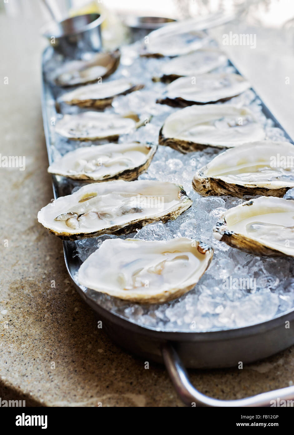 Rectangle Wood Tray with Oysters